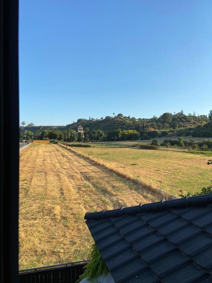 Paz Y Tranquilidad, A Un Paso De Sevilla San Juan de Aznalfarache Exterior foto