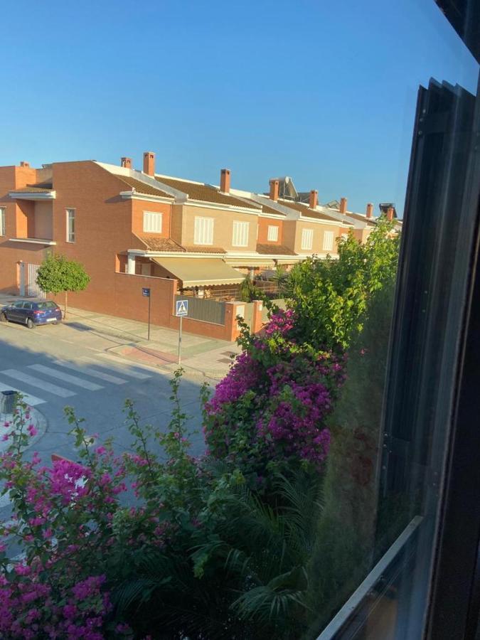 Paz Y Tranquilidad, A Un Paso De Sevilla San Juan de Aznalfarache Exterior foto